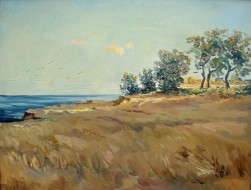 Vechernee solnce.Mezhvodnoe, Krym h.m 50h65 2017g.JPG